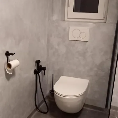 Alena アパート ロキトニツェ・ナト・イゼロウ